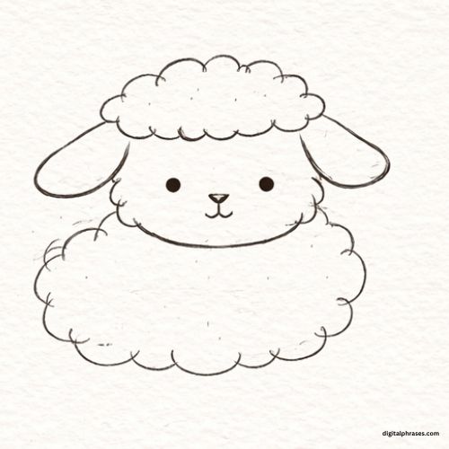 How to Draw a Lamb?