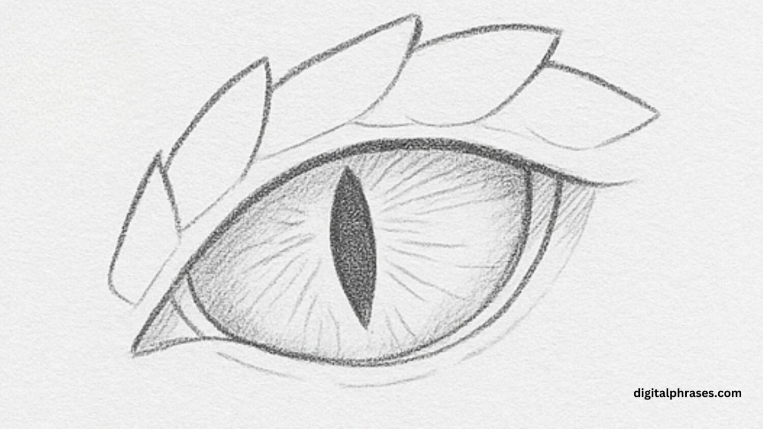 How To Draw a Dragon Eye