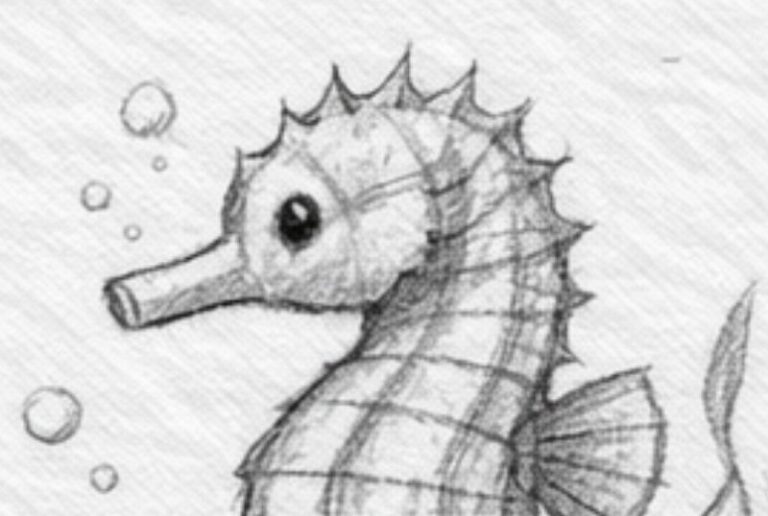 How To Draw a Sea Horse?