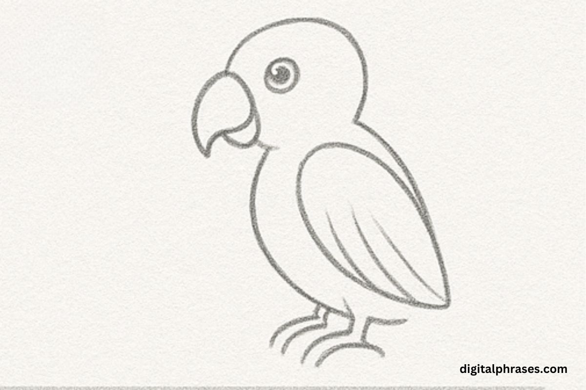 How To Draw a Parrot How To Draw a Parrot