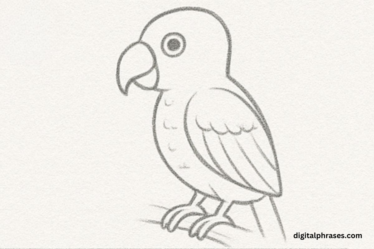 How To Draw a Parrot How To Draw a Parrot
