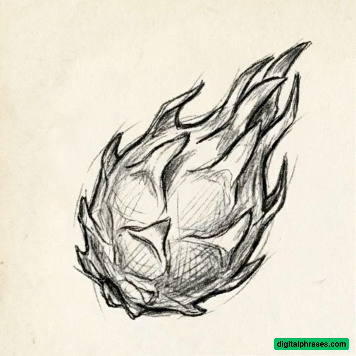 27 Fruit Drawing Ideas 27 Fruit Drawing Ideas