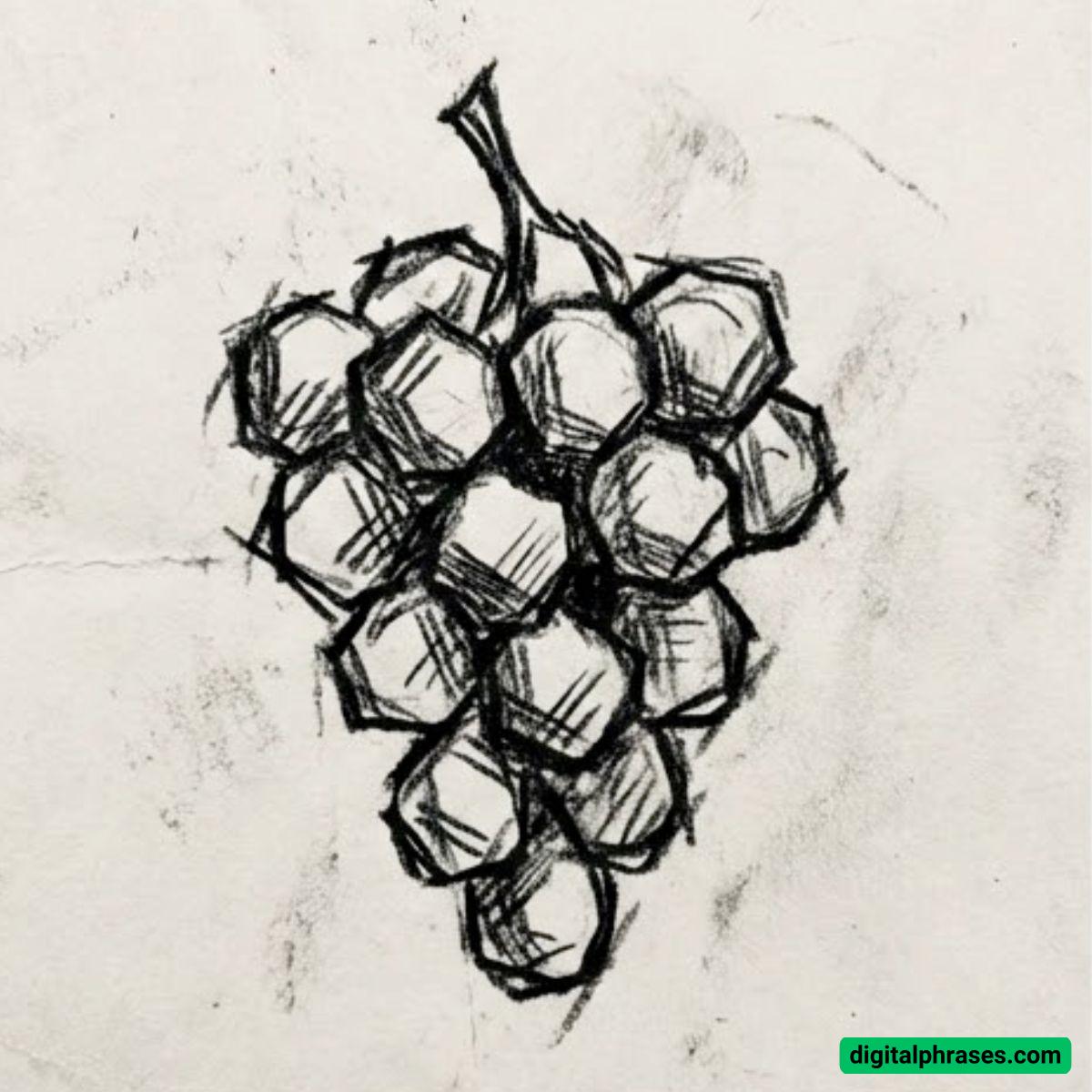 27 Fruit Drawing Ideas