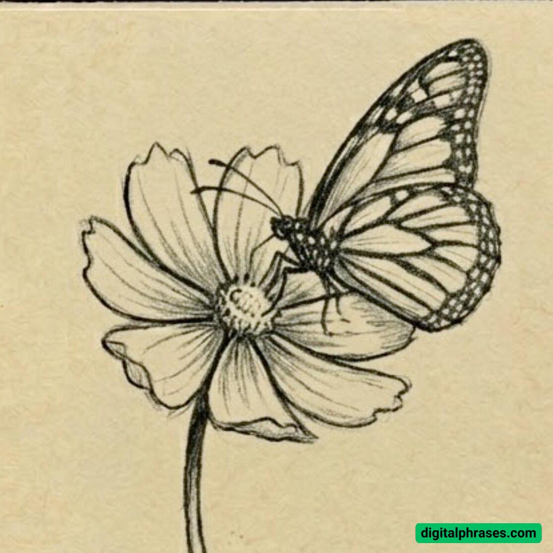 29 Flower Drawing Ideas