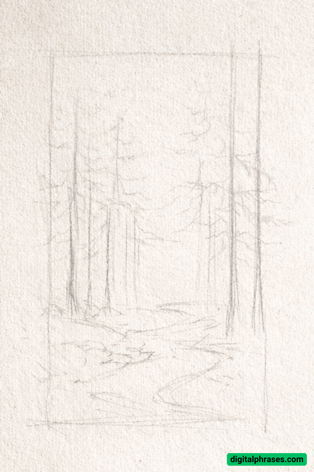 How to Draw a Forest