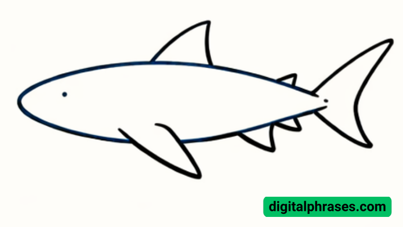 How To Draw a Shark? How To Draw a Shark?