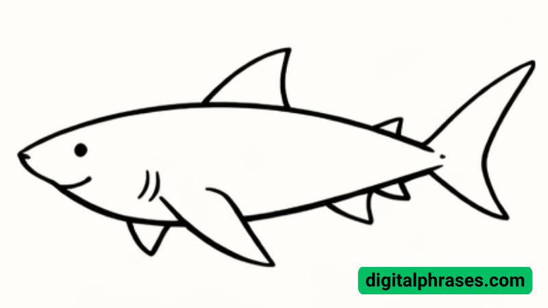 How To Draw a Shark? How To Draw a Shark?