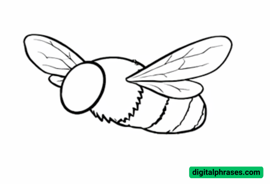 How To Draw a Bumblebee How To Draw a Bumblebee
