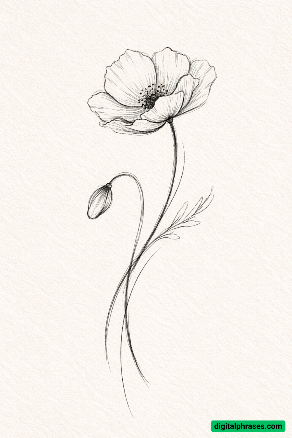 22 Poppy Flower Drawing Ideas 22 Poppy Flower Drawing Ideas