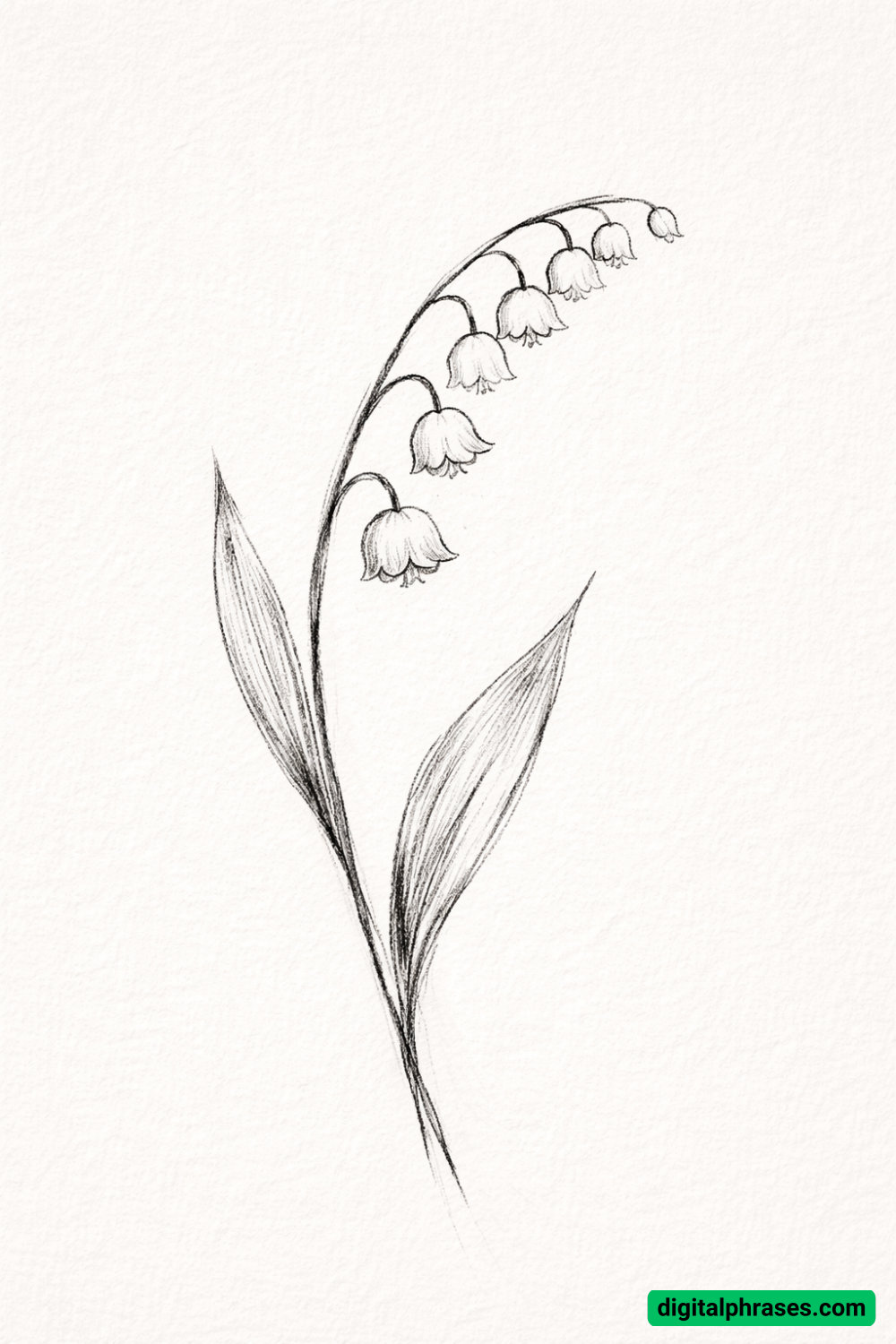 17 Lily of the Valley Drawing Ideas
