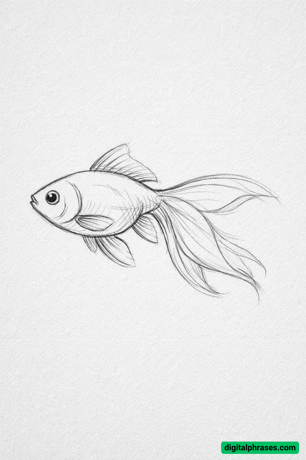 23 Fish Drawing Ideas