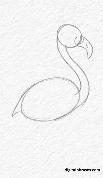 How To Draw a Flamingo