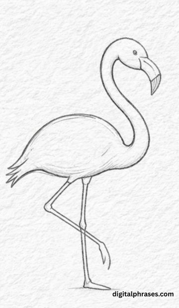 How To Draw a Flamingo