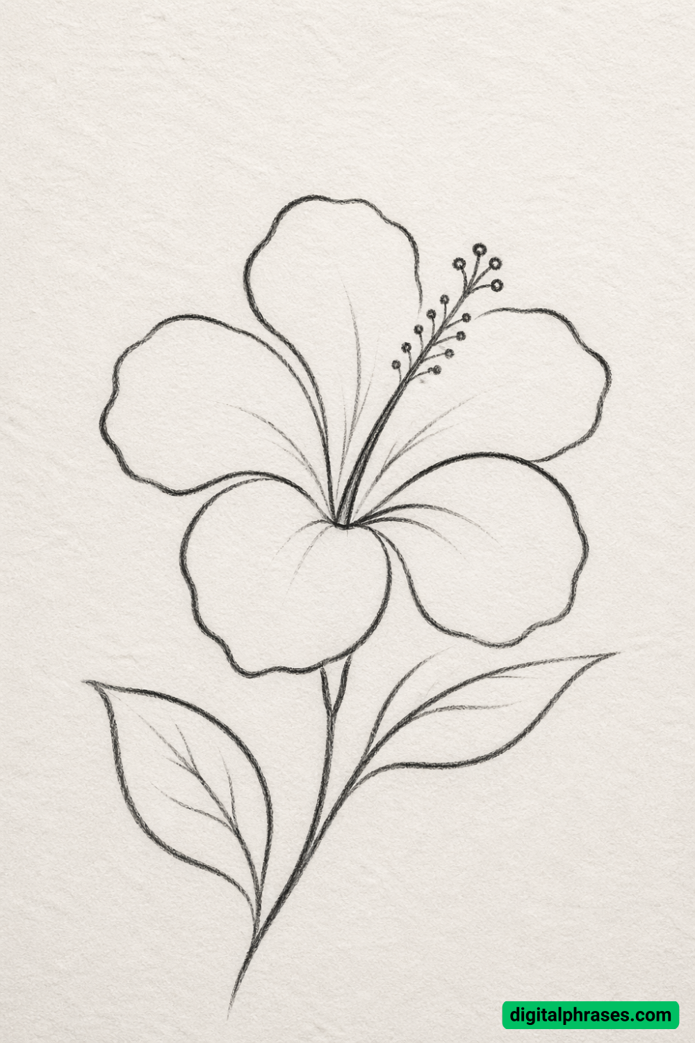 25 Hawaiian Flower Drawing Ideas