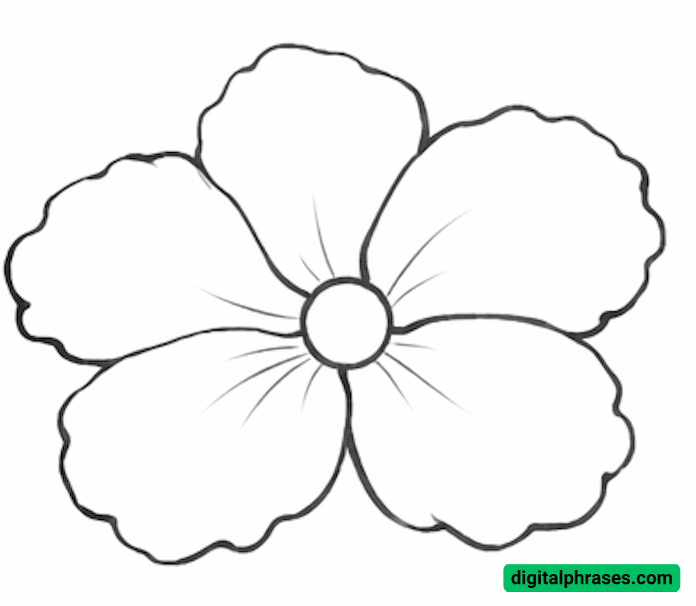 How to Draw a Hawaiian Flower How to Draw a Hawaiian Flower