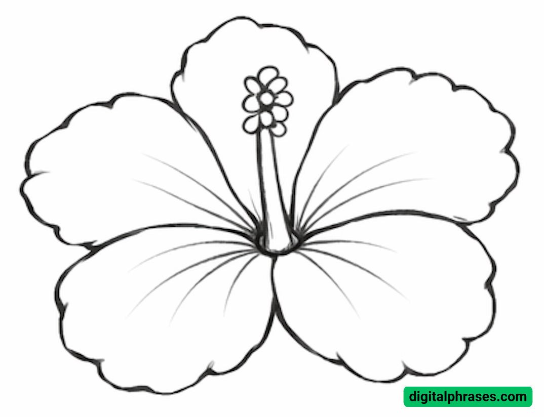 How to Draw a Hawaiian Flower How to Draw a Hawaiian Flower