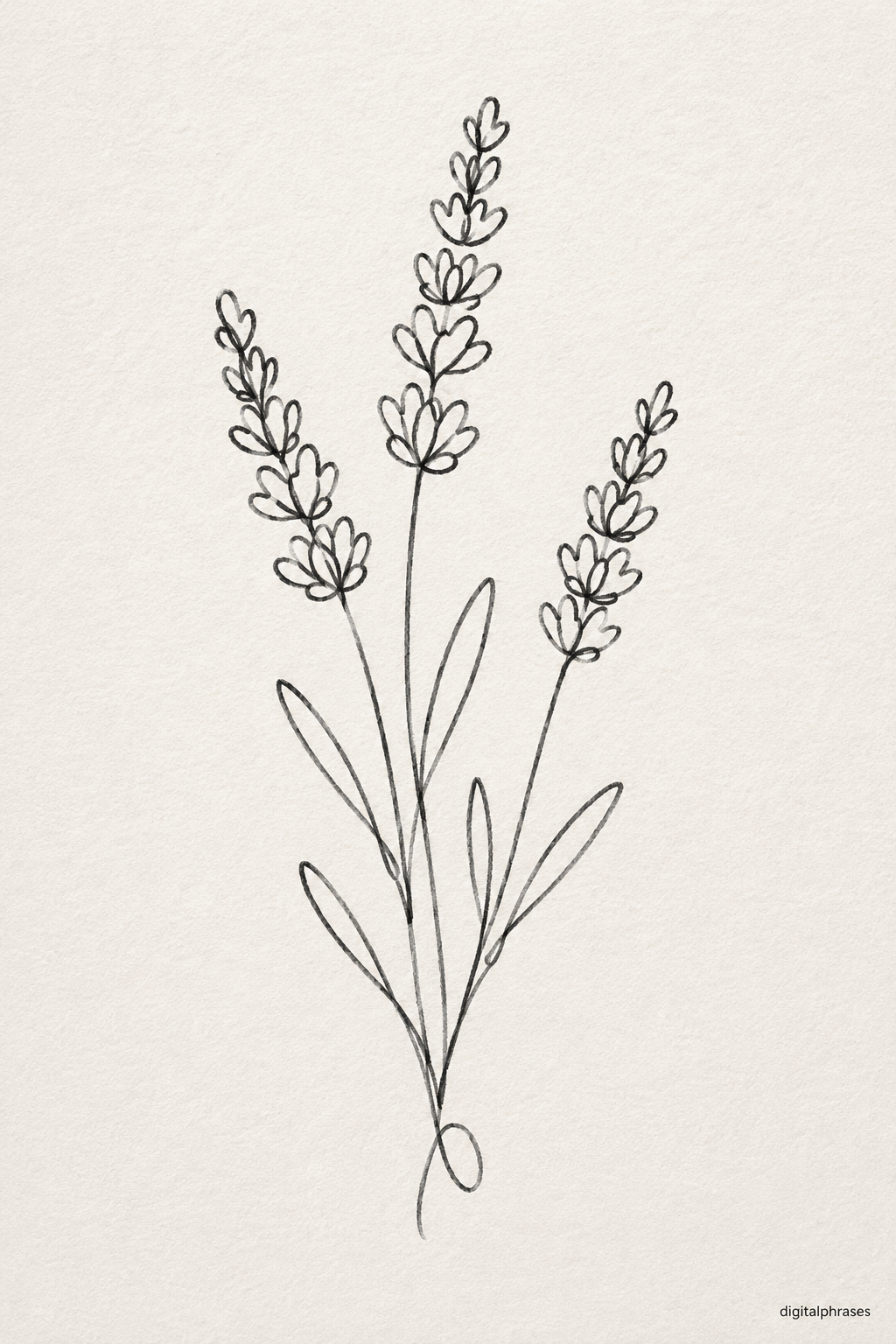 Lavender Drawing Ideas