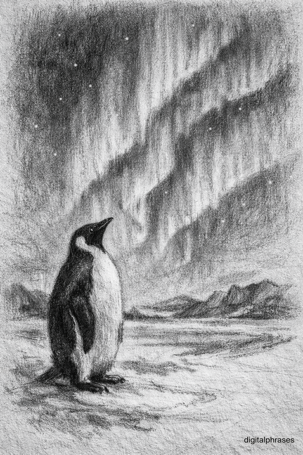 Penguin Drawing Ideas Penguin Drawing Ideas