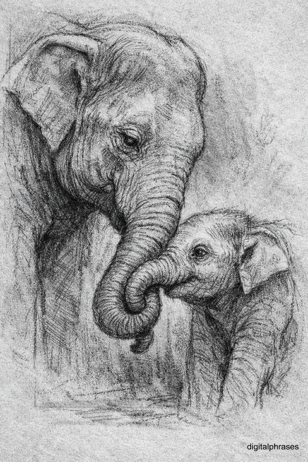 Elephant Drawing Ideas