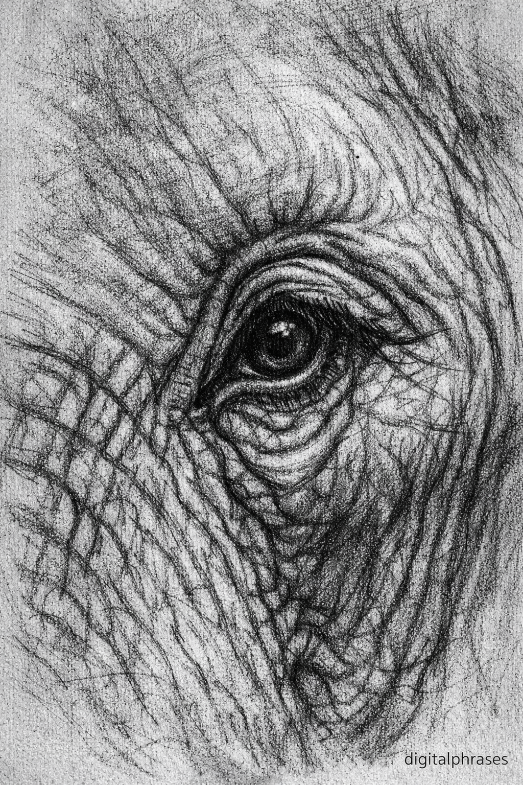 Elephant Drawing Ideas