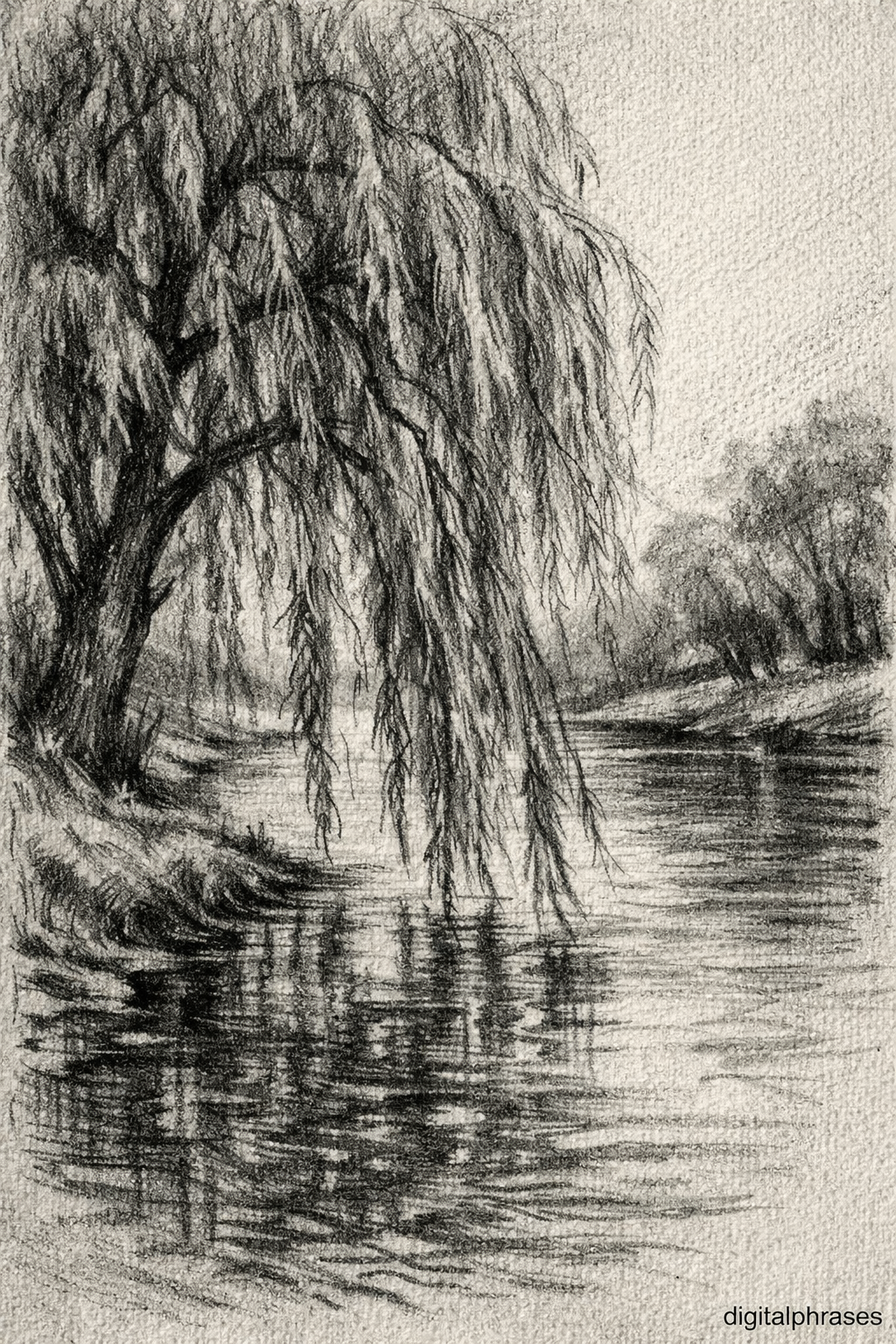 Tree Drawing Ideas