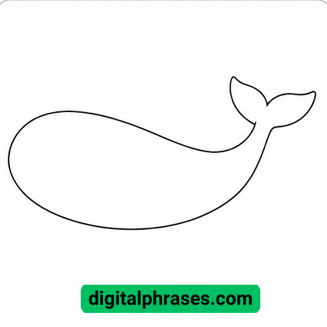 How to Draw a Whale?