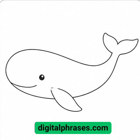 How to Draw a Whale? How to Draw a Whale?