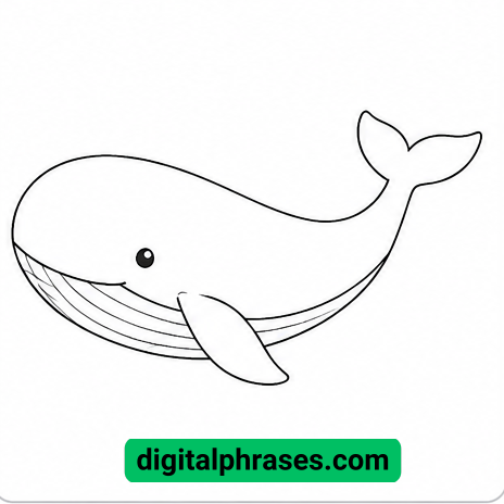 How to Draw a Whale? How to Draw a Whale?
